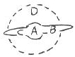 <strong>In the edge-on sketch of a spiral galaxy, pick the letter corresponding most nearly to the location of globular clusters.  </strong> A) A B) B C) C D) D <div style=padding-top: 35px> 