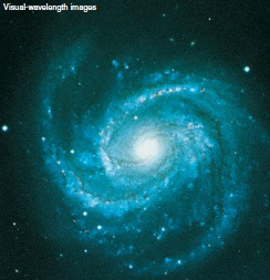 <strong>  The galaxy shown above is ___________.</strong> A) a grand design B) a flocculent C) in between a grand design and a flocculent D) the Milky Way galaxy <div style=padding-top: 35px> 
