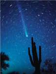 <strong> In the above photo, where is the Sun located?</strong> A) not shown but above the cactus B) not shown but to the right of the cactus C) not shown but below the cactus D) not shown but to the left of the cactus
