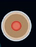 <strong> In the above cartoon, the interior of a planet has separated into the layers shown by a process known as ___________.</strong> A) outgassing B) differentiation C) accretion D) condensation