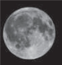 <strong>  The dark features on the Moon as shown in the above photo are _________________.</strong> A) mare B) craters C) the man on the Moon D) maria <div style=padding-top: 35px> 