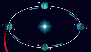 <strong> In which corner of the figure above is Uranus moving from fall to winter in the southern hemisphere?</strong> A) upper left B) upper right C) lower left D) lower right