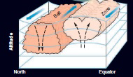 Choose the correct term to make the statement correct: Rising and sinking of gas within the zones and belts are examples of ____ (conduction, convection, radiation) ____.