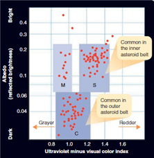 <strong> Compared to the inner asteroid belt, the outer asteroid belt is ____________ and ____________, as shown in the above graph.</strong> A) dark, gray B) red, dark C) bright, red D) gray, bright