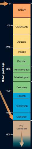<strong> What life form first appeared on Earth at the 0 mark in the timeline above?</strong> A) dinosaurs B) microbial C) mammals D) humans