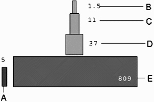 First-level consumers are represented by the letter ____.