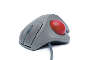 <strong> Which of the following is NOT shown in the accompanying figures?</strong> A) touch screen B) trackball C) touch pad D) mouse