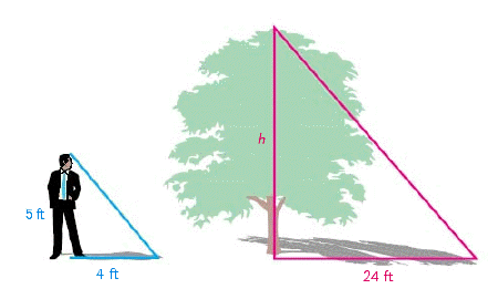 <strong>Use similar triangles to help solve the problem. A tree casts a shadow of 24 feet at the same time as a 5-foot tall man casts a shadow of 4 feet. Find the height of the tree. </strong> A) h = 27 ft B) h = 42 ft C) h = 30 ft D) h = 35 ft E) h = 22 ft