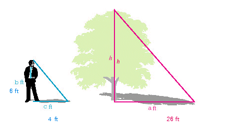 <strong>A tree casts a shadow of 26 feet at the same time as a 6-foot man casts a shadow of 4 feet. Find the height of the tree. </strong> A)41 feet B)35 feet C)39 feet D)31 feet E)52 feet
