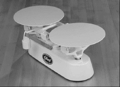 The pictured scale is called a portion scale.