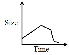 <strong>A small tumor in a patient begins to grow a steady rate for two years until the patient was treated. Over the next year, the tumor begins to shrink slowly and then shrinks faster and faster during the fourth year until it is smaller than it was when it began to grow. Sketch a graph that shows the size of the tumor over time.</strong> A) B) C) D) E) 