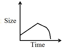 <strong>A small tumor in a patient begins to grow a steady rate for two years until the patient was treated. Over the next year, the tumor begins to shrink slowly and then shrinks faster and faster during the fourth year until it is smaller than it was when it began to grow. Sketch a graph that shows the size of the tumor over time.</strong> A) B) C) D) E) 