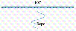 <strong>Suppose a goat was tethered at the middle of a 100-foot-long fence and the length of the rope was 29 feet, as shown in the diagram below. Over how much area could the goat graze? Use 3.14 for and round your answer to 2 decimal places. </strong> A) 1261.50 ft<sup>2</sup> B) 1320.37 ft<sup>2</sup> C) 5281.48 ft<sup>2</sup> D) 91.06 ft<sup>2</sup> E) 2640.74 ft<sup>2</sup>