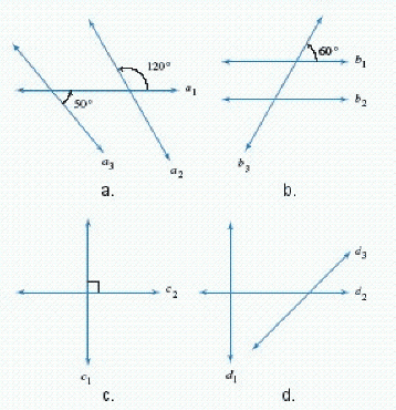 Each of the four diagrams in the figure shows lines in the same plane. Is this statement true or false ? The lines and are perpendicular.