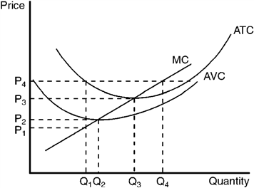 The graph below depicts the cost structure for a firm in a competitive market. Figure 9-13   Refer to Figure 9-13. When price rises from P<sub>3</sub> to P<sub>4</sub>, the firm finds that
