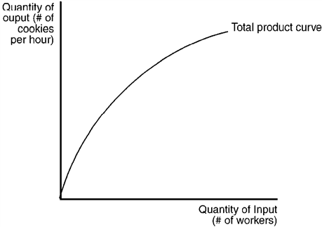 The figure below depicts a production function for a firm that produces cookies. Figure 12-4 Refer to Figure 12-4. With regard to cookie production, the figure implies