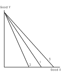 Exhibit 20-8 Refer to Exhibit 20-8. If the price of good X rises, the budget constraint moves from budget constraint