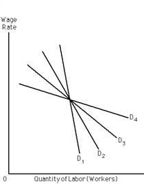 <strong>Exhibit 27-1 ​   Refer to Exhibit 27-l. Four demand curves for labor are displayed: D<sub>1</sub>, D<sub>2</sub>, D<sub>3</sub>, and D<sub>4</sub>. Which provides the most pronounced wage-employment tradeoff?</strong> A)D<sub>1</sub> B)D<sub>2</sub> C)D<sub>3</sub> D)D<sub>4</sub> <div style=padding-top: 35px> 