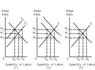 <strong>Exhibit 27-5 ​   Refer to Exhibit 27-5. In case (1), with a rise in the wage rate from W<sub>1</sub> to W<sub>2</sub>, the wage bill will fall if</strong> A)(Q<sub>1</sub> - Q<sub>2</sub>)x W<sub>1</sub> > (W<sub>2</sub> - W<sub>1</sub>)x Q<sub>2</sub>. B)(Q<sub>3</sub> - Q<sub>2</sub>)x W<sub>3</sub> > (W<sub>2</sub> - W<sub>3</sub>)x Q<sub>2</sub>. C)W<sub>2</sub> x Q<sub>2</sub> > Q<sub>3</sub> x W<sub>1</sub>. D)(W<sub>1</sub> - W<sub>3</sub>)x Q<sub>2</sub> > (W<sub>2</sub> - W<sub>1</sub>)x Q<sub>2</sub>. <div style=padding-top: 35px> 