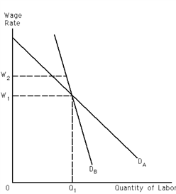 Exhibit 27-9 Refer to Exhibit 27-9. Let D<sub>A</sub> and D<sub>B</sub> represent demand for labor curves facing unions A and B, respectively. As a result of their efforts, both unions succeed in increasing the wage rate from W<sub>1</sub> to W<sub>2</sub>. In terms of the wage-employment trade-off, the wage increase