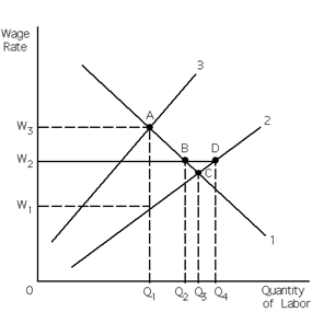 Exhibit 27-11 ​   Refer to Exhibit 27-11. The firm in the exhibit is a monopsony. We have deliberately not identified the three curves in the exhibit. They are simply curves 1, 2, and 3. If (union)collective bargaining with the monopsony guarantees the wage rate that workers will be paid is W<sub>2</sub>, then the factor supply curve is