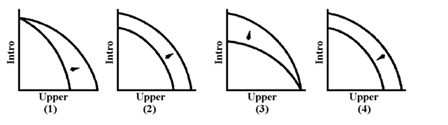 Figure 3-5 At present, faculty in the Economics Department teach introductory and upper-level courses. Which graph in Figure 3-5 represents the change in the production possibilities of the Economics Department after a policy of using graduate students in addition to faculty to teach introductory sections was implemented?