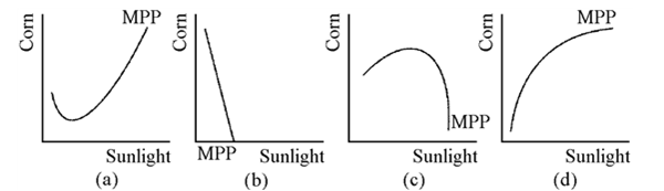 Figure 7-12 Which of the graphs in Figure 7-12 shows a marginal physical product curve that exhibits first increasing and then diminishing marginal returns to sunlight?