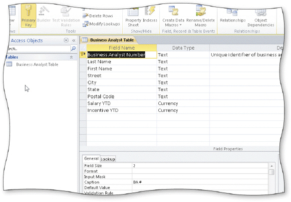 <strong> In the accompanying figure, the key symbol that appears in the row selector for the Business Analyst Number field indicates that Business Analyst Number is the ____ for the table.</strong> A) principal key B) foreign key C) primary key D) main key