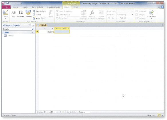In the accompanying figure, the words Datasheet View at the lower left of the screen appear on the ____________________.