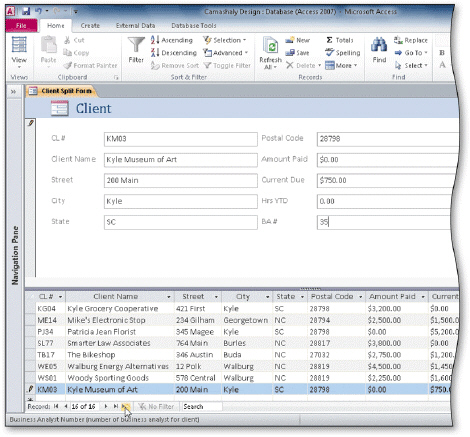 <strong> To add a record using the form shown in the accompanying figure, click the ____ button on the Navigation bar.</strong> A) Last record B) New (blank) record C) Insert record D) Blank record