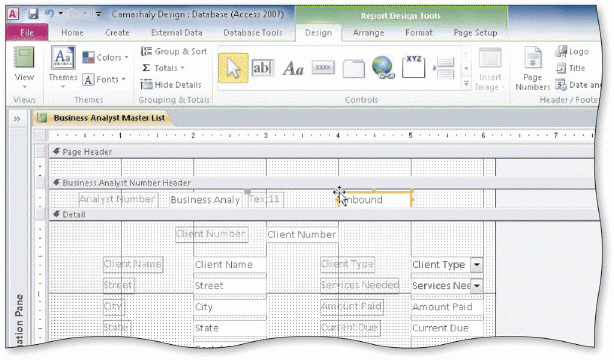The Business Analyst Master List shown in the accompanying figure includes an unbound control. When you enter an expression in the text box it becomes a(n) ____________________ control.
