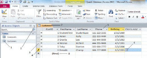 <strong> Item 8 in the figure above is:</strong> A) Where a new record would be entered B) Where a new field would be entered C) A field name D) The navigation pane