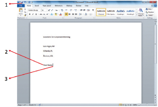 <strong> In the figure above, item 3 points to the ____.</strong> A) Cursor B) Insertion point C) Signal bar D) Word counter