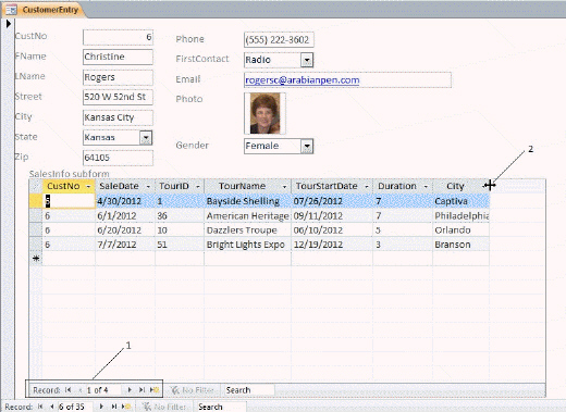 <strong> In the figure above, how many records are in the main form?</strong> A)6 B)8 C)35 D)Not enough information