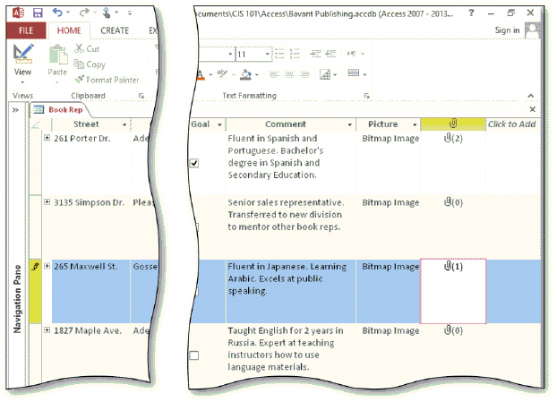 The accompanying figure shows the Book Rep table. The Phone Number field in this table uses a(n) ____________________, which specifies how data is to be entered and how it will appear.