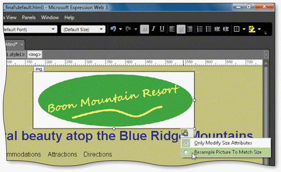 <strong> As shown in the accompanying figure, you can click the ____ button below a resized image, then click the Resample Picture to Match Size option to resample the image.</strong> A) Picture Tasks B) Picture Formatting C) Picture Actions D) Picture Menu