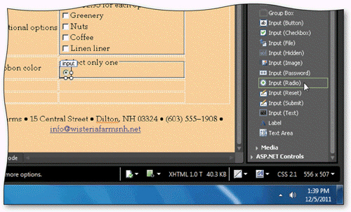 You can double-click Input (Image) to insert a new radio button form control, as shown in the accompanying figure.