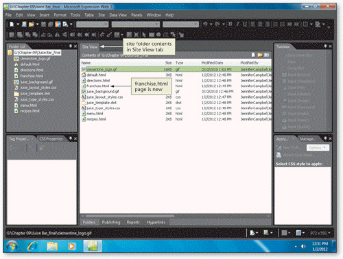<strong> When you run a Site Summary report, the ____ toolbar appears at the top of Site View, as shown in the accompanying figure.</strong> A) Reports B) Problems C) Summary D) Search