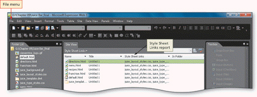 <strong> To produce the report shown in the accompanying figure, you should click the ____ link in the Site Summary report.</strong> A) Hyperlinks B) Style Sheet Links C) Broken Hyperlinks D) Linked Files