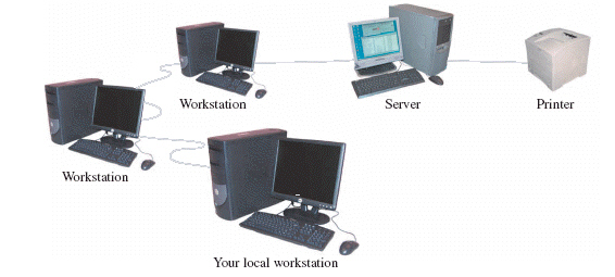   The network shown in the figure above is a ____ network.