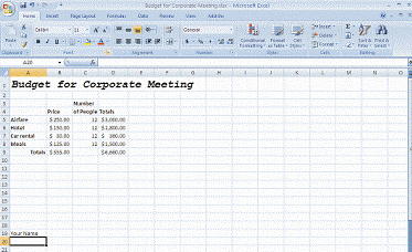 You are an administrative assistant for the vice president of an international bank. The vice president has asked you to prepare a budget for a corporate meeting using an Excel program bundled in the newly acquired Office 2007 suite. Interested in learning about the functionality of Excel, the vice president asks you some questions about your work on the budget. The Excel spreadsheet in progress appears below.   What type of document does the Excel program represent?
