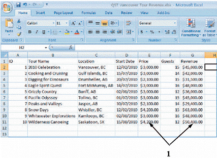 The figures pointed to by item 1 in the figure above are given meaning by the ____ format.