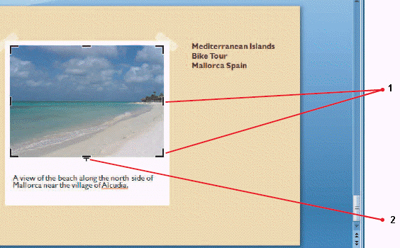 In the above figure, item 1 shows a picture frame style.