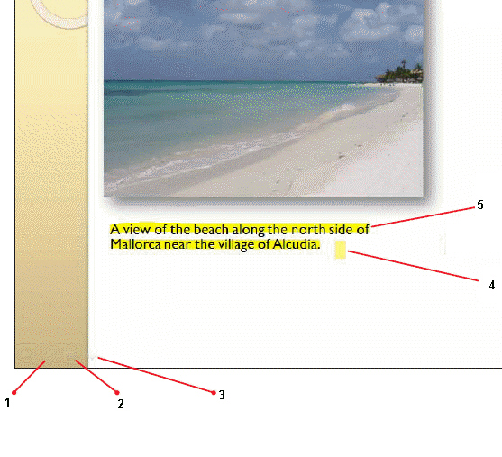   Item 2 in the above figure is pointing to a(n) ____.