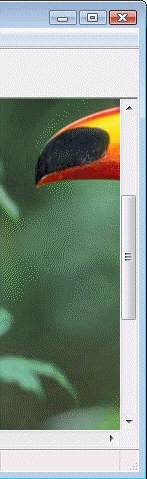 In the figure above, you can click the ____ to scroll down a small amount.