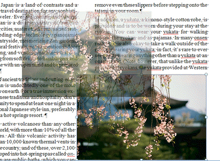 <strong> Which is not true of the graphic shown in the figure above?</strong> A) It is an inline graphic. B) It is selected. C) It is a floating graphic. D) Text is wrapped around the graphic.