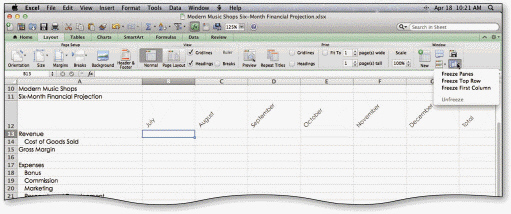 In the accompanying figure, worksheet titles are frozen above and to the left of cell B13.