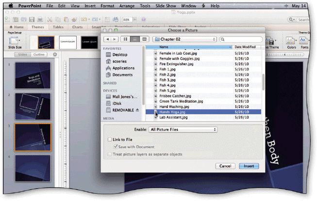 <strong> Clicking which of the following icons opens the Choose a Picture dialog shown in the accompanying figure?</strong> A)Clip Art B)Insert Picture from File C)Screenshot D)New Photo Album