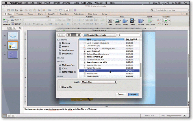 <strong> To open the dialog box in the accompanying figure, choose ____ from the Media pop-up menu.</strong> A)Choose a Movie B)Multimedia C)Movie from File D)Media options
