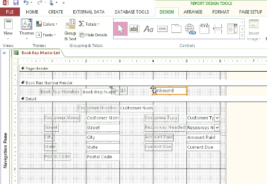 The Book Rep Master List shown in the accompanying figure is organized by sections. The contents of the ____________________ section are printed before the records in a particular group.